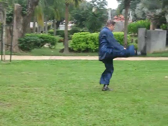 Shaolin 36 Leg Techniques